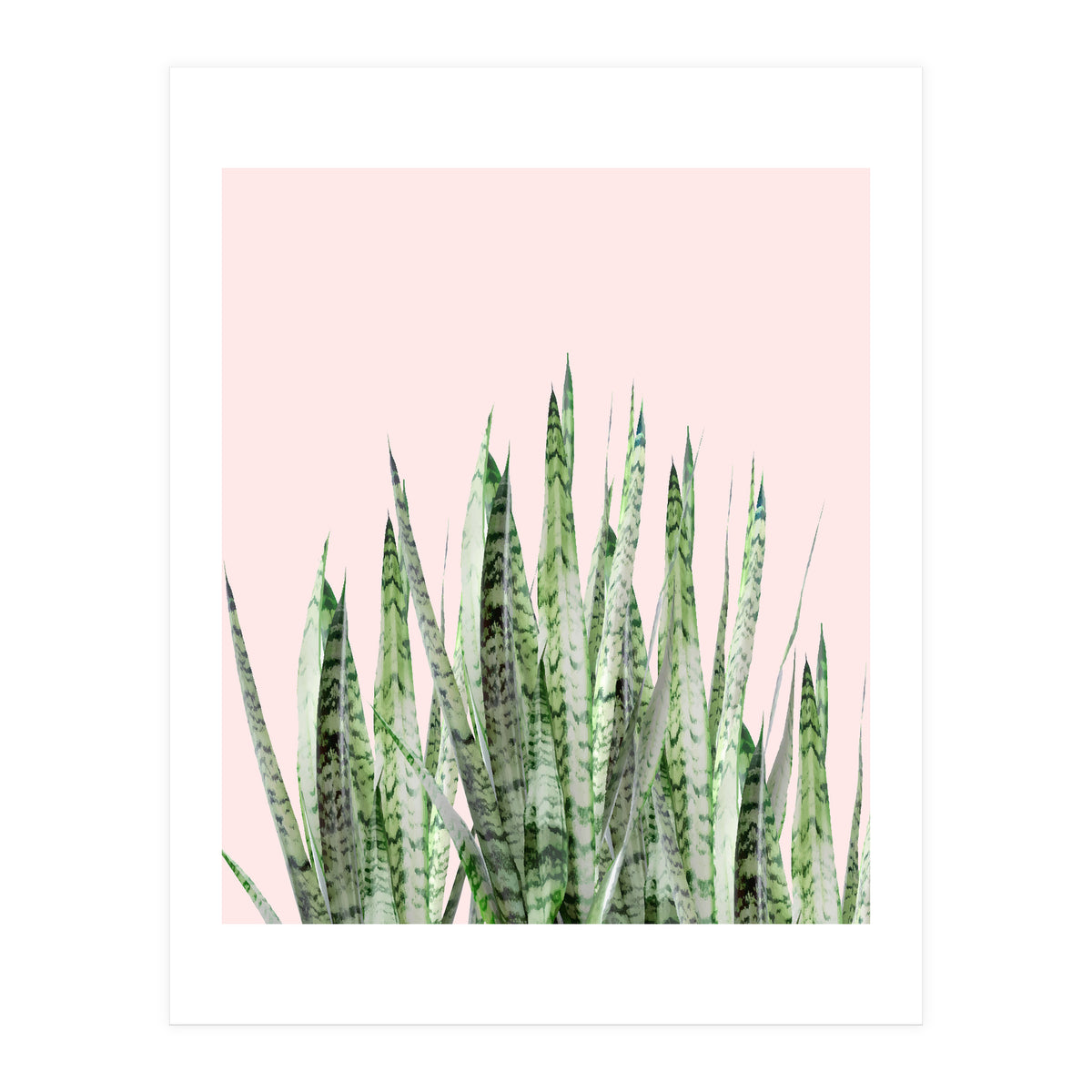 Botanical Balance (Print Only)