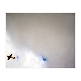 The Little Prince (Print Only) thumbnail