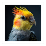 Cockatiel Parrot Bird Head (Print Only) thumbnail