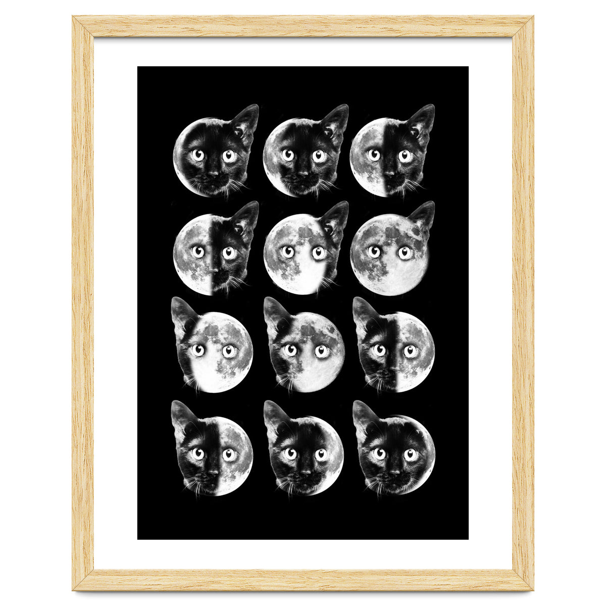 Cat Moon Phases