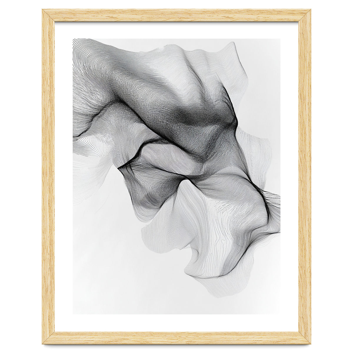 Abstract Black And White Flowing Lines Forming Organic Shapes And Forms