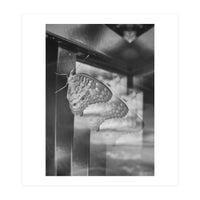 Evolving | Black & White (Print Only)