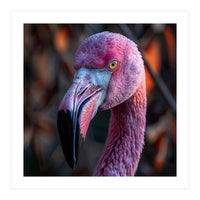 Close Up Of A Pink Flamingo Bird Face (Print Only)