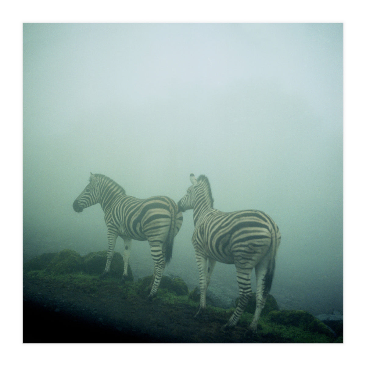 Silence of breath - 14 (Print Only)