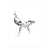 Whale (Print Only) thumbnail
