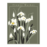 Flower Market Stockholm  Snowdrop (Print Only) thumbnail