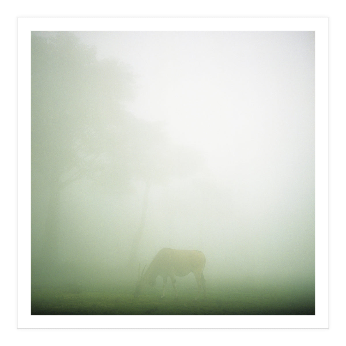 Silence of breath - 09 (Print Only)