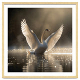 Graceful Swan Spreading Wings On Sparkling Water thumbnail