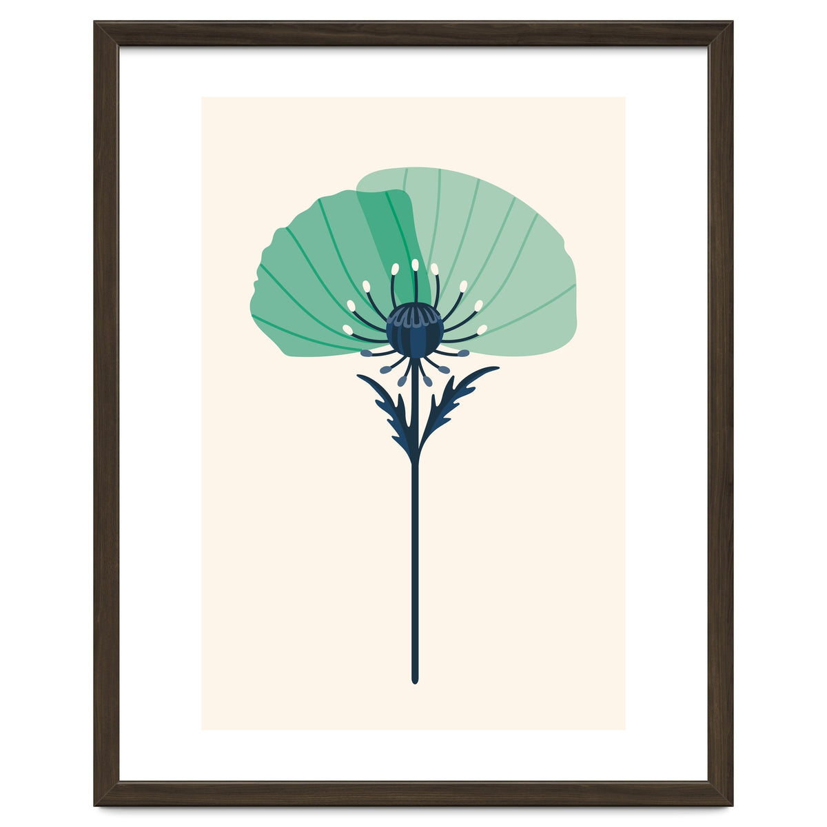 Teal Half Poppy