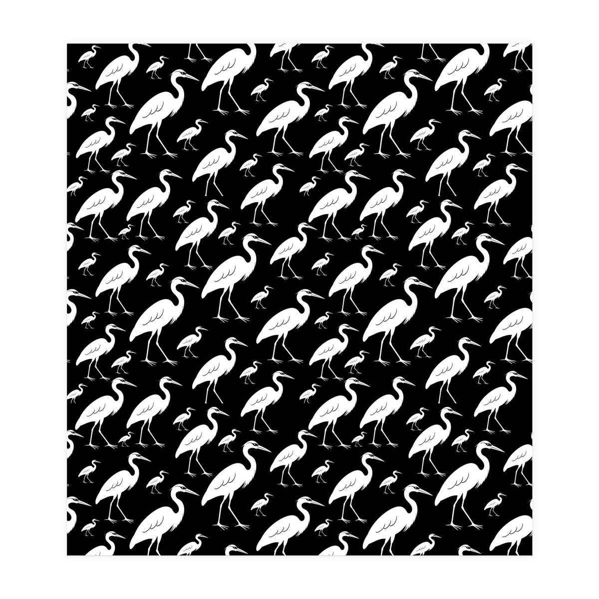 Egrets  (Print Only)