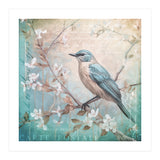 Bird Vintage Nostalgia II (Print Only) thumbnail
