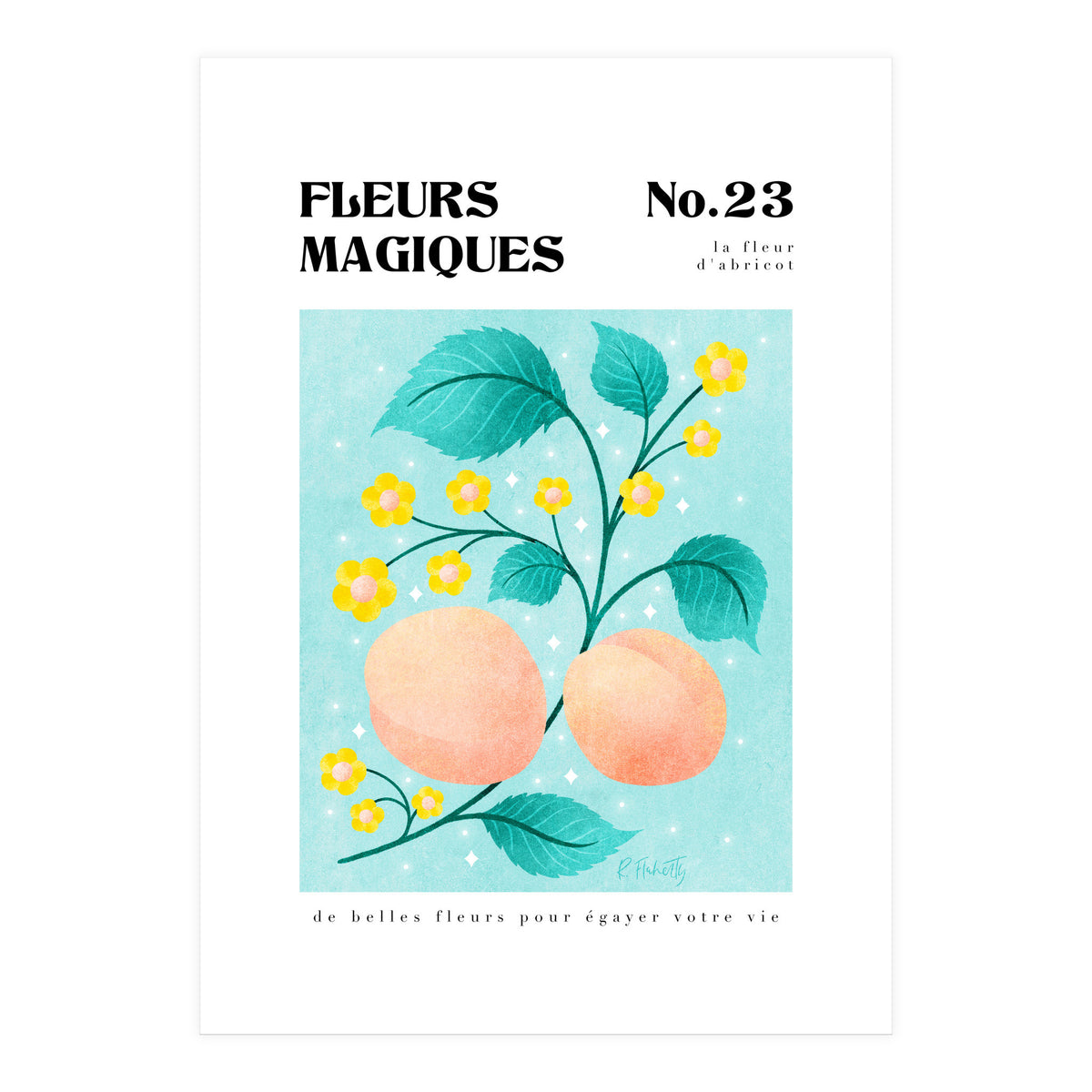 Magical Flowers No.23 Apricot Blossom (Print Only)