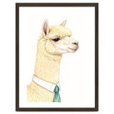 Alpaca thumbnail
