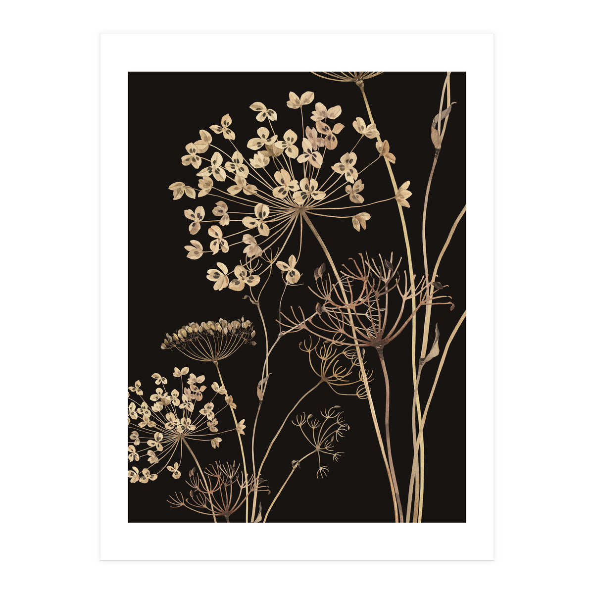 Wildflowers I (Print Only)