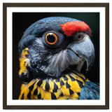 Close-up Portrait of a Vibrant Parrot thumbnail