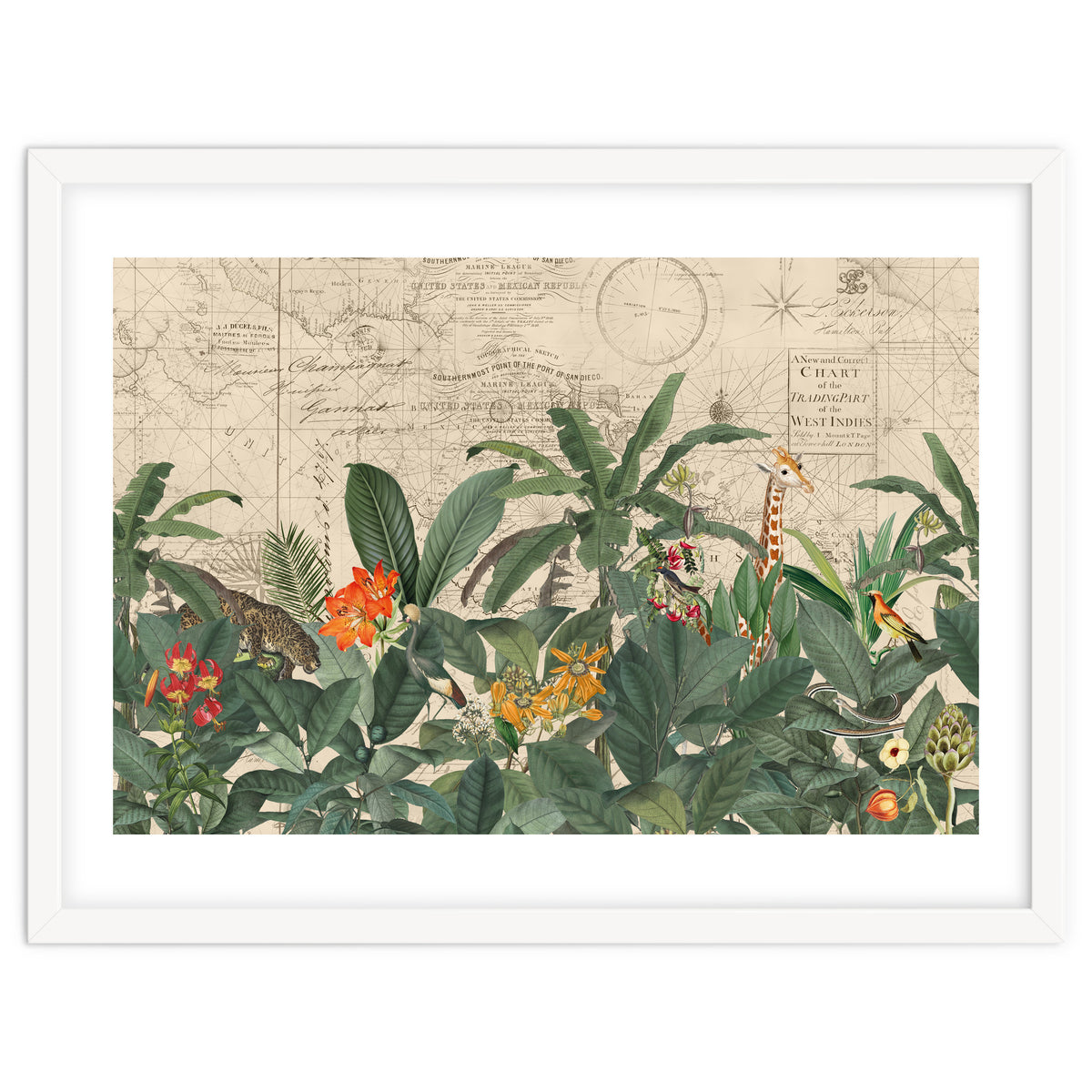 Explore The New World Wild Animals