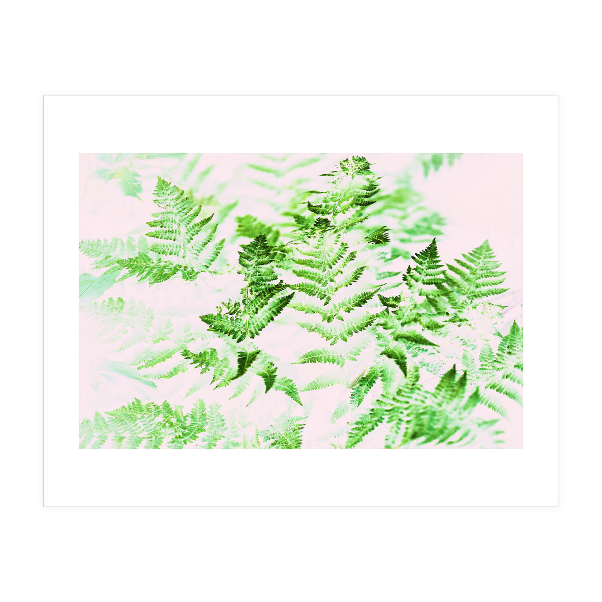 Fern Forest #society6 #decor #buyart (Print Only)