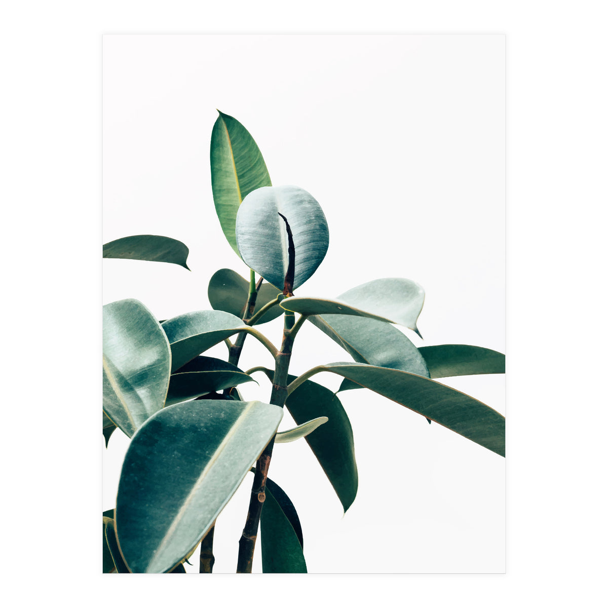 L'amour de ma vie #society6 #decor #buyart (Print Only)