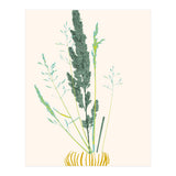 Plant based happyness Grasses 2 still life (Print Only) thumbnail