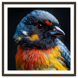 Close Up Of A Colorful Bird In The Wild thumbnail