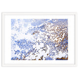 Coral Blooming thumbnail