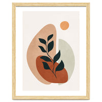 Soft Shapes II