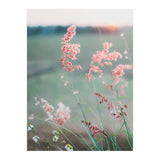 Dance With Air (Print Only) thumbnail