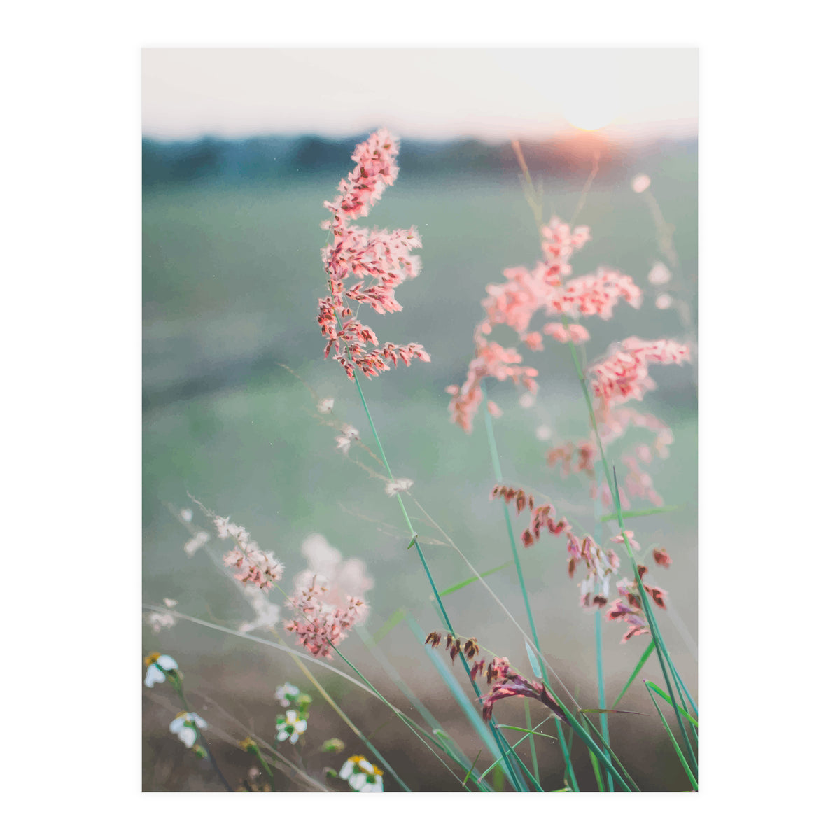 Dance With Air (Print Only)