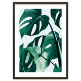 Monstera Tropical Photography Digital Art, Minimal Nature Jungle Botanical Leaves thumbnail