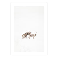 Reindeer in the snow (Print Only)