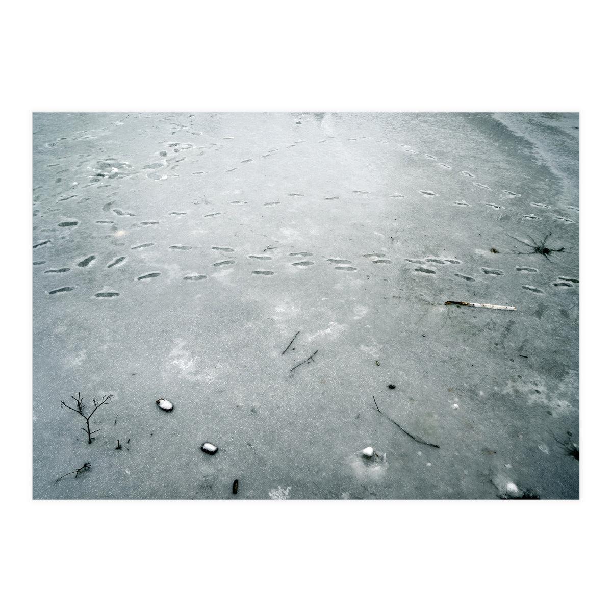 Frozen ice pond (Print Only)