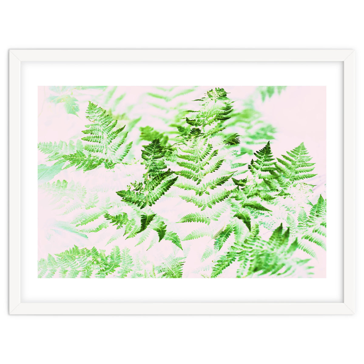 Fern Forest #society6 #decor #buyart