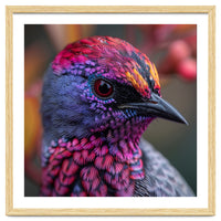 Vibrant Exotic Bird Detailed Feather Close Up