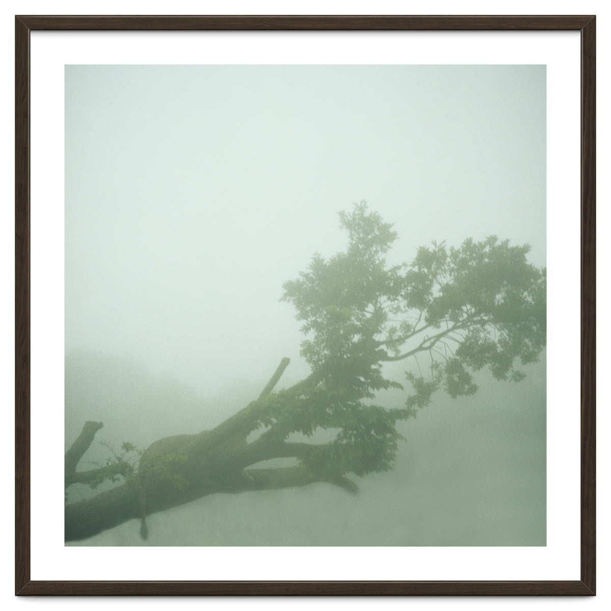 Silence of breath - 07