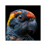 Close Up Of A Colorful Parrot Bird's Head (Print Only) thumbnail