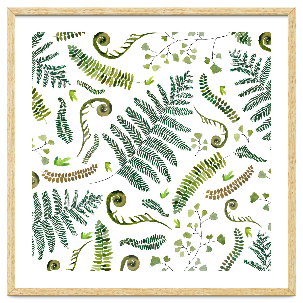 Spring Fern Pattern