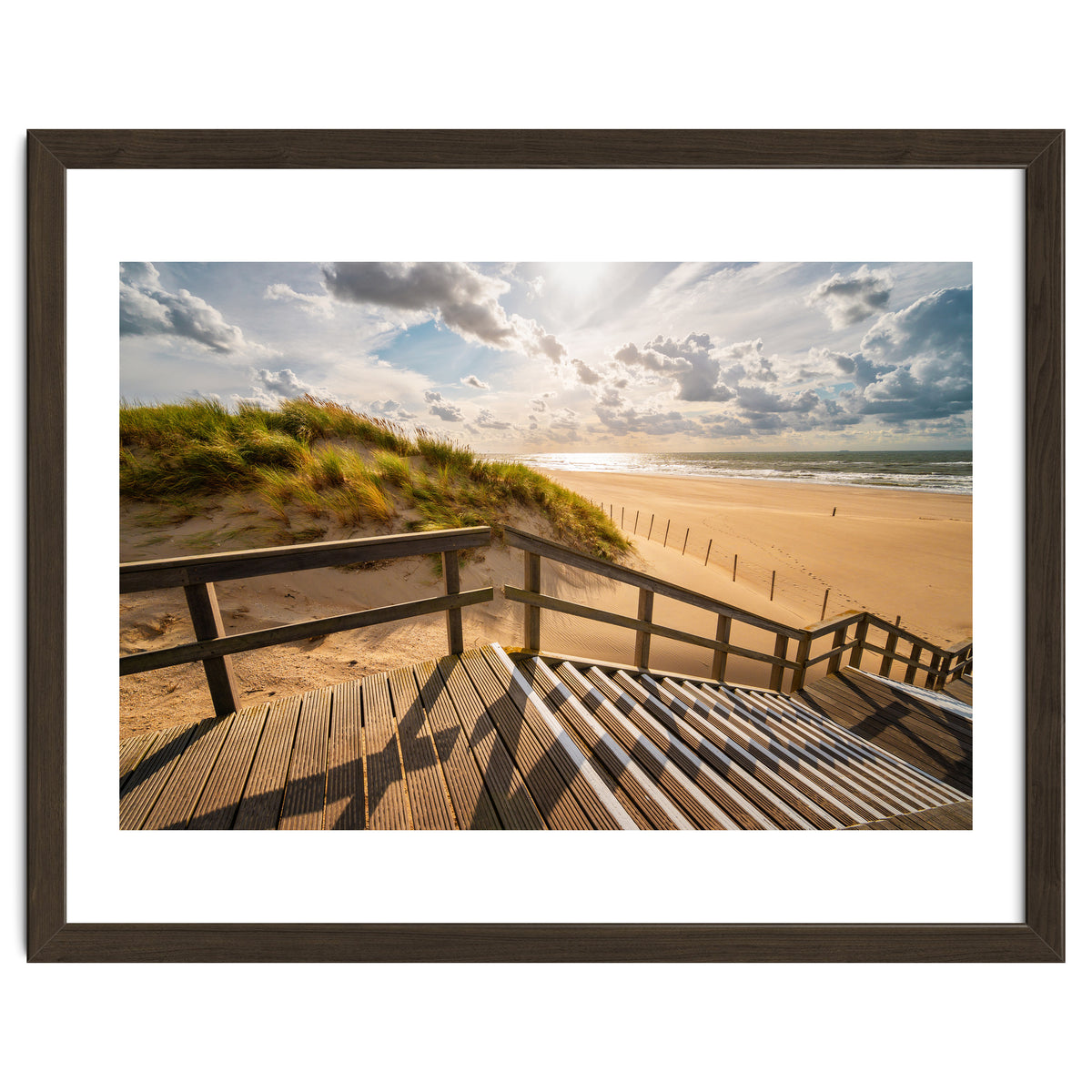 A day at the Dutch beach