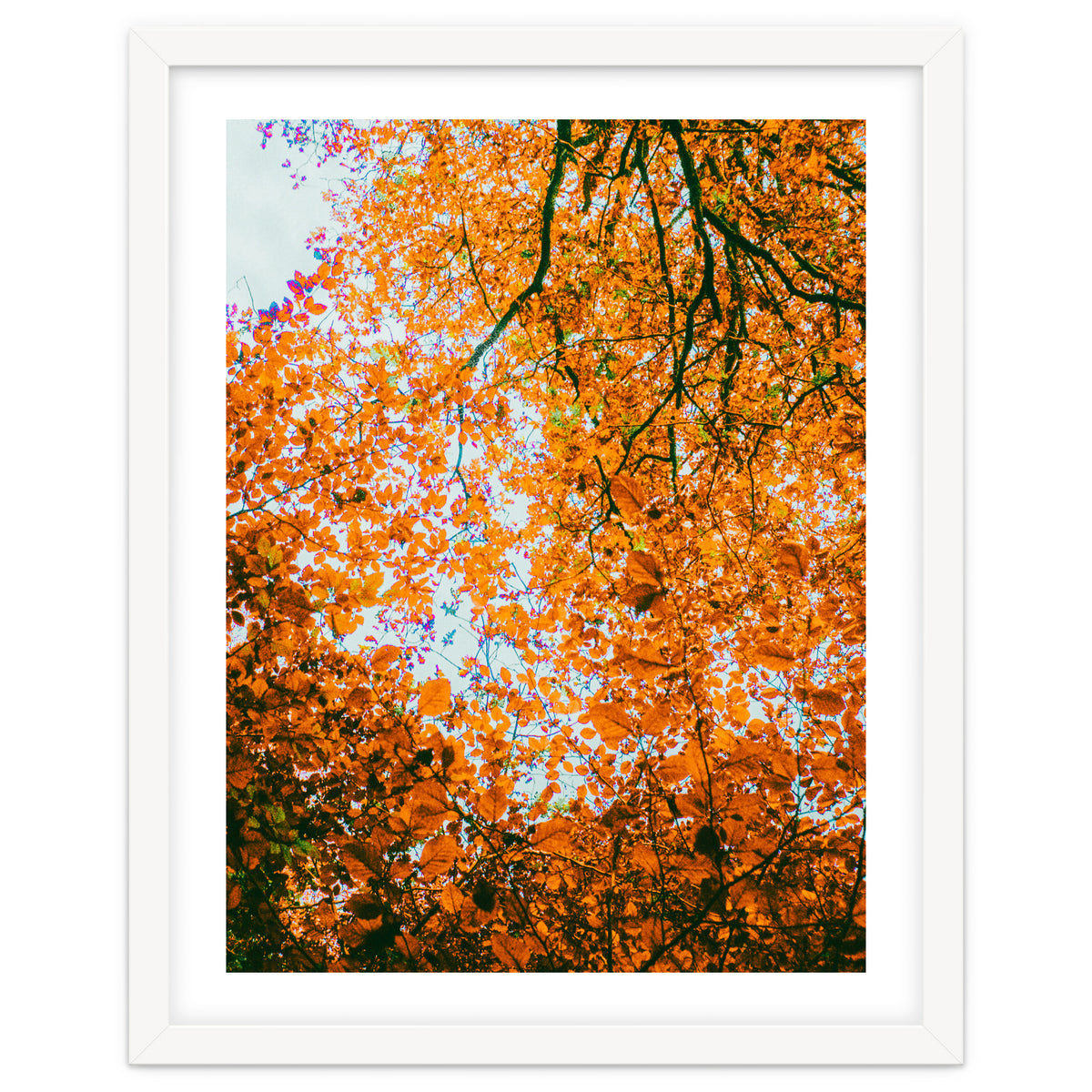 Autumn Leaves
