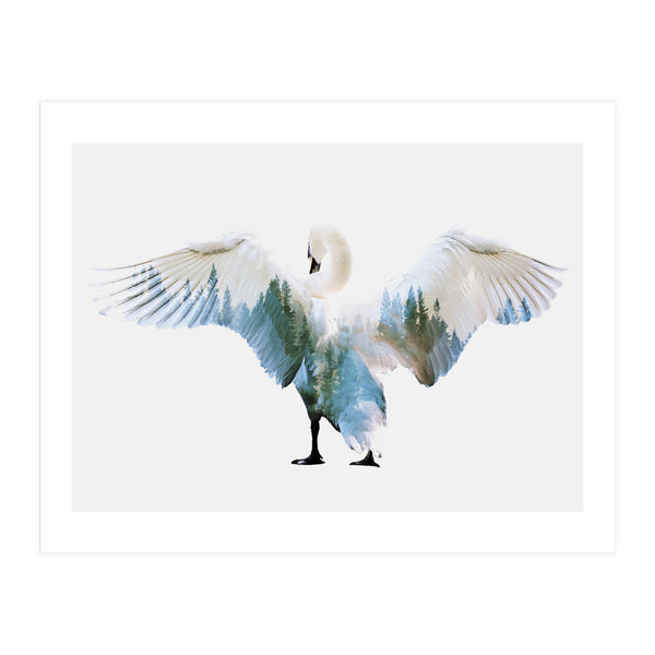 Swan (Print Only)