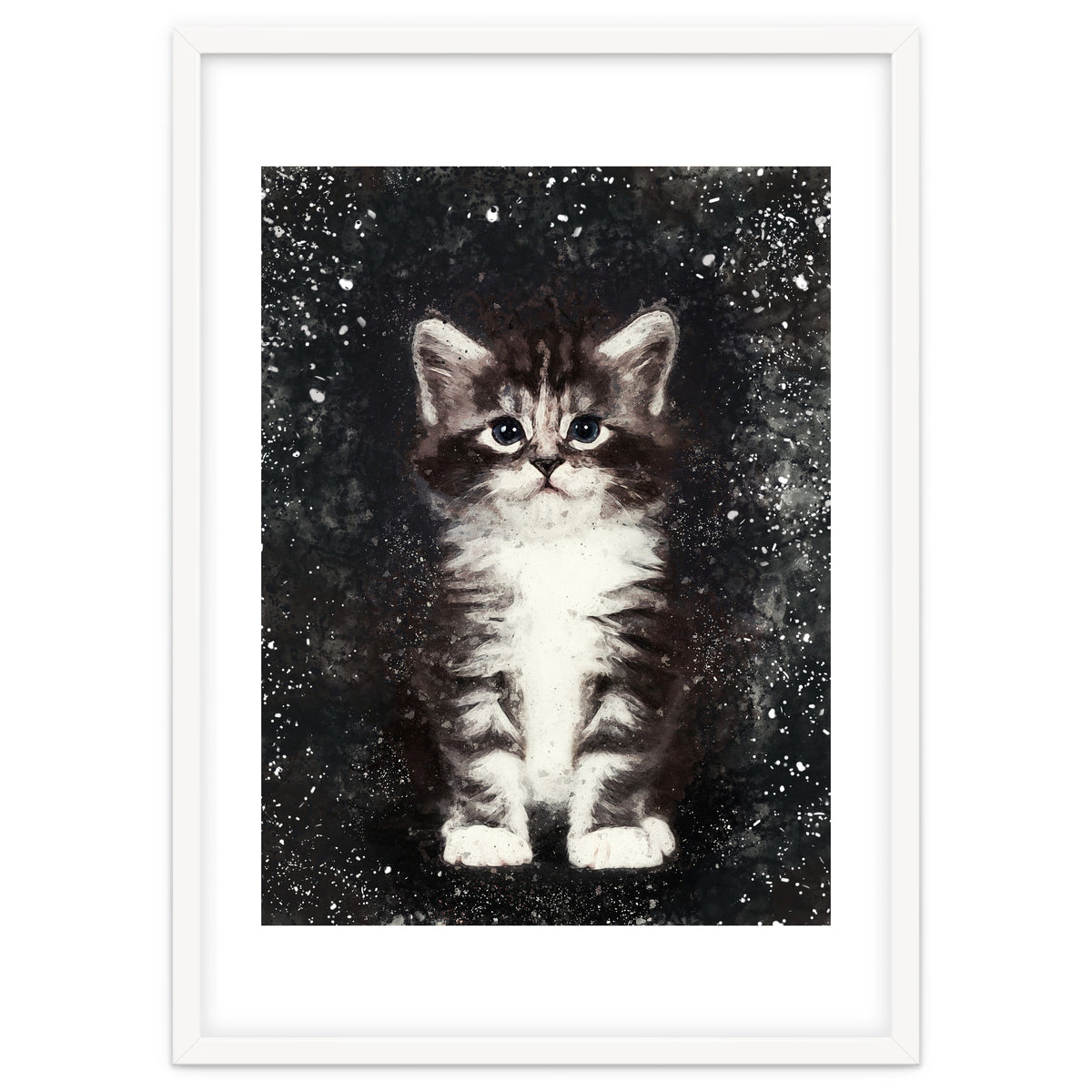 Bicolor Cute Kitten Portrait