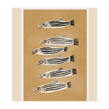 Minimal Fish Study (Print Only) thumbnail