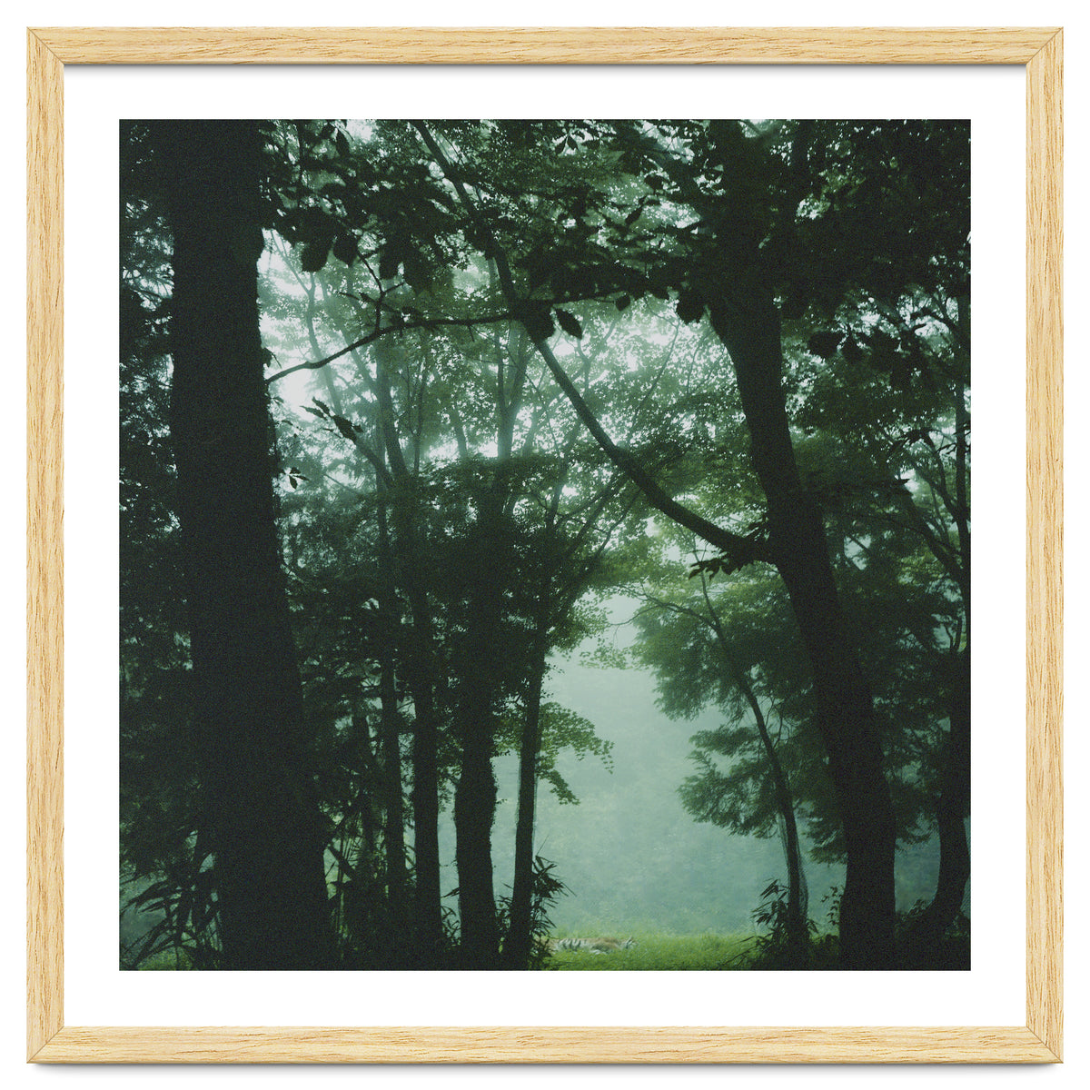 Silence of breath - 13