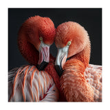 Close Up Of Two Flamingos Nuzzling Together (Print Only) thumbnail