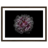 Backyard Flowers No 118 Color Version thumbnail