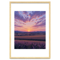 Serene Lavender Fields at Golden Hour Sunset