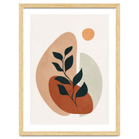 Soft Shapes II