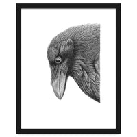 Huginn
