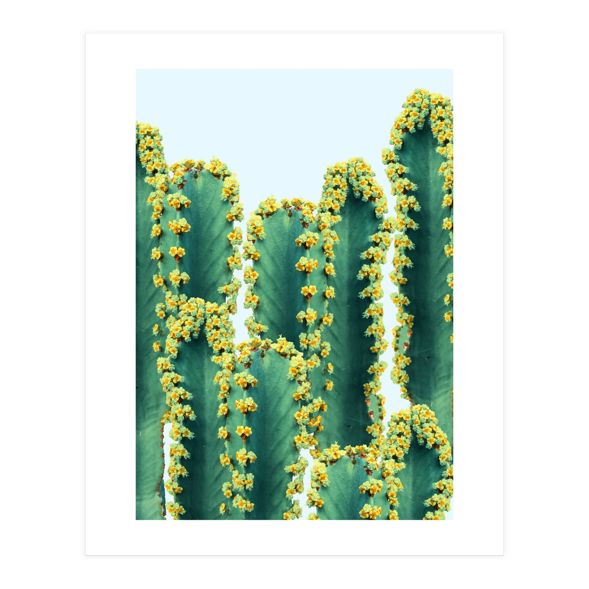 Adorned Cactus #society6 #artprints #buyart (Print Only)