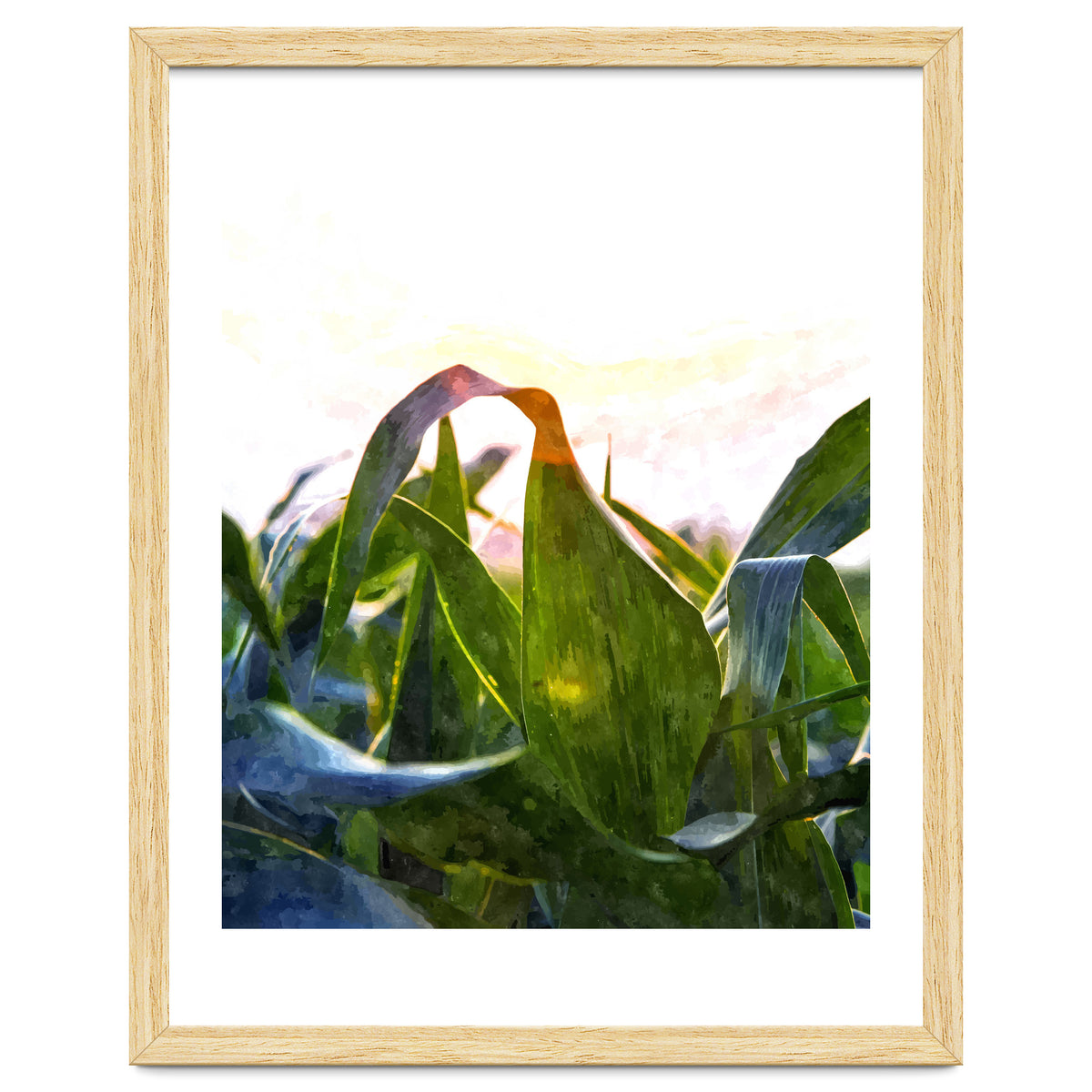 Hope With Abstraction