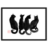4 Black Cats thumbnail